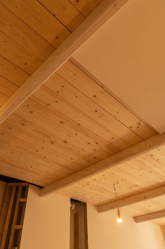Verlaagd plafond in gerenoveerde kelder: moderne verlichting en afwerking door Bouwvorm